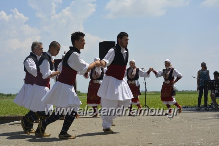 alexandriamou.gr_trikala28.5.2018137